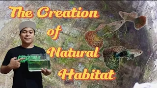 Ep9 : How to create a natural habitat 🤔?