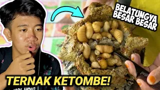 MEBERSIHKAN KETOMBE PARAH SAMPAI DI SERBU BELATUNG | REACTION