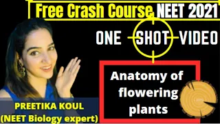 NEET: Anatomy of flowering plants  |One Shot video |Free Crash Course ,NEET 2021 | Preetika Koul |