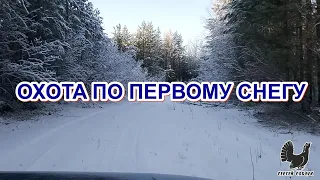 охота по первому снегу