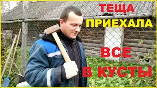 В ДЕРЕВНЮ ПРИЕХАЛА ЛЮБИМАЯ ТЕЩА ЗАГНАЛИ ЕЕ В КУСТЫ.