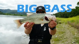 BANK Bass Fishing Tips In CALIFORNIA! (EXCITING!)