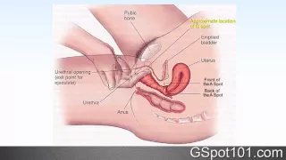 What Does The G Spot Feel Like?