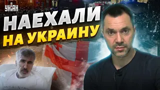 В Грузии наехали на Украину из-за Саакашвили - Арестович резко ответил