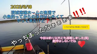 茨城南端ホームの漁港に釣れた小魚使って泳がせ釣りしたかったのですが…  いつものシラオジ全開バリバリ‼️‼️　今回はちょっと変わった仕掛けも初登場⁉️