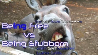 Being FREE VS BEING STUBBORN pt1