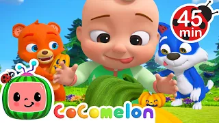 Baby Animal Pumpkin Hunt | CoComelon JJ's Animal Time | Animal Songs for Kids