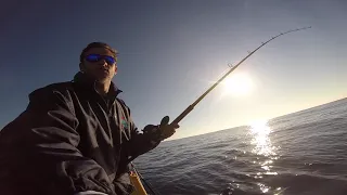 catching Wahoo on the south coast