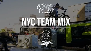 ANIMAL HOUSE NYC - TEAM MIX