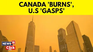 Canada Wildfires | Smoke From Canadian Wildfires Blankets New York | Canada Fires Today | News18