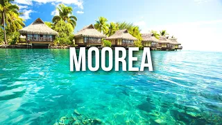 TOP Sehenswürdigkeiten auf der Insel Moorea die Du sehen MUSST!