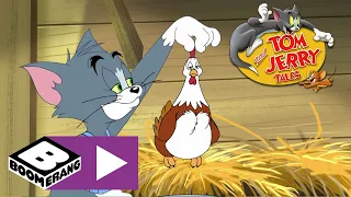 Tom & Jerry Tales | Egg Beats | Boomerang UK