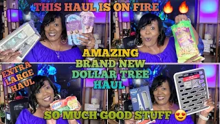 XL AMAZING BRAND NEW DOLLAR TREE HAUL*OMG THIS HAUL IS 🔥🔥🔥* SO MANY NEW FINDS & A LITTLE MORE 9-8-23