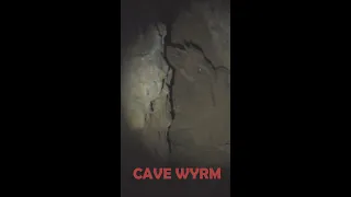 Cave Wyrm