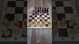 Шахматы. Крутая ловушка в шахматах! Победа без ферзя!