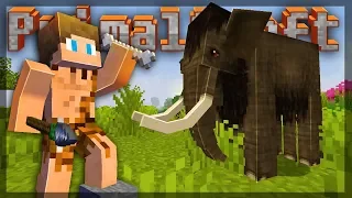 IDADE DA PEDRA! Sobrevivência primitiva! / PRIMALCRAFT