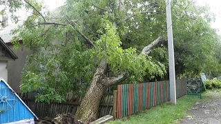 Прикарпаттям пронісся буревій