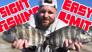 THE BEST Sheepshead Spot In Tampa Bay - Tampa Kayak Fishing