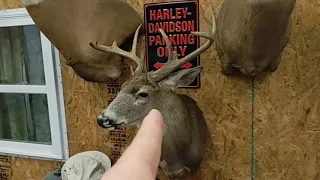 My 2020 Buckeye big Buck Club Official score. Monster Bucks a must see !  Awesome