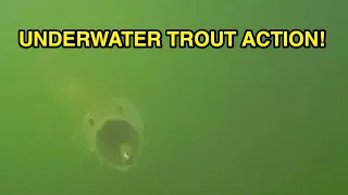 How To Catch Tons Of Trout (Even If There's Lots Of Boat Traffic)