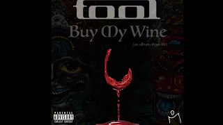 TOOL - Invincible (NEW SONG, live 2019)