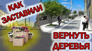 Как туляки заставили вернуть деревья на проспект Ленина