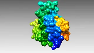 Introduction to Hemoglobin and Myoglobin