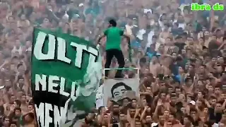 Ultras Panathinaikos