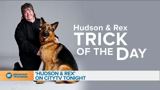 Hudson & Rex Trick of the Day