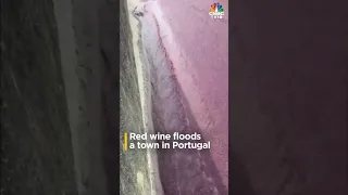 Red Wine Floods The Streets Of The Small Town Levira In Portugal | N18S | CNBC TV18
