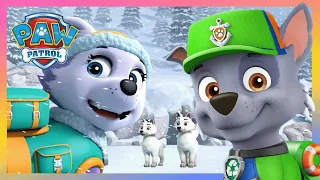 Zuma et la Pat Patrouille sauvent d'adorables chiots coincés dans une grotte de neige!❄️- PAW Patrol