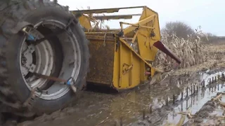 || Kukurydza bez przystawki, czyli Sampo w akcji ||