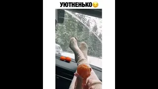 😂Я РЖАЛ ДО СЛЕЗ 😂ЛУЧШИЕ ПРИКОЛЫ 2021 😂СМЕШНЫЕ ВИДЕО 😂ПРИКОЛЫ 😂САМЫЕ СМЕШНЫЕ ПРИКОЛЫ 😂#MADVIDEO #338