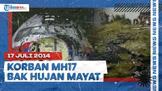 Saksi Mata Jatuhnya Pesawat Malaysia Airlines MH17, Banyak Mayat Manusia Berjatuhan Layaknya Hujan