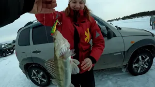 ВЕЧЕРКА НА СУДАКА. ЛЮЦИФЕРЫ В ДЕЛЕ!!! ЛОВЛЯ СУДАКА НА РАТТЛИНЫ на ОВХ. ЭТОТ СУДАК ОБИДЕЛ ОПЕРАТОРА.