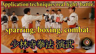 Application techniques real fight, randori, battle sparring, boxing, combat. 少林寺拳法 実戦 動画. 少林寺拳法 実戦.