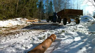 Погрузка леса в лесу