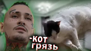 ТРЕК В ЧЕСТЬ КОТА "ГРЯЗЬ" МОРГЕНШТЕРН ПОЁТ ПРО КОТА ! КОТ ГРЯЗЬ !