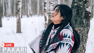Pakari(Yupanki)- Healing Andean Music