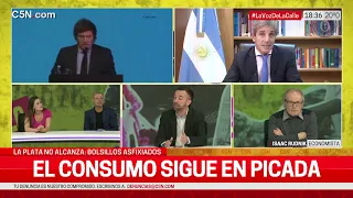 Se profundiza la CAÍDA de la ACTIVIDAD ECONÓMICA en ARGENTINA: la opinión de un ECONOMISTA