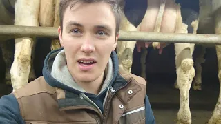 #44 Farmvlog/ Melken 🐄