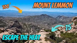 Stunning Drive from Desert Heat to Cool Mountain Summit