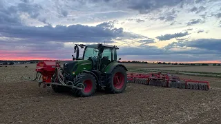 #1 Zwischenfrucht Säen 2022- Fendt Vario 313 mit Einböck und Güttler Mayor