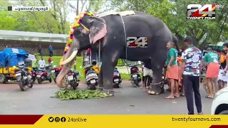 പൂര നഗരിയിൽ ആനയിടഞ്ഞു; ഉടൻ തളച്ചു; ആശങ്കയൊഴിഞ്ഞു