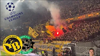 Young Boys vs. Maccabi Haifa - Stadionvlog | HISTORISCHER SIEG FÜR YB🟡⚫ | CHAMPIONS LEAGUE QUALI👑😮