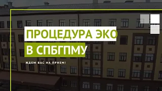 ЭКО в отделении вспомогательных репродуктивных технологий Педиатрического университета