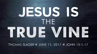 Sermon - John 15:1-17 - Thomas Slager