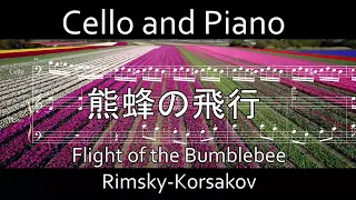 熊蜂の飛行 for Cello and Piano (Flight of the Bumblebee)