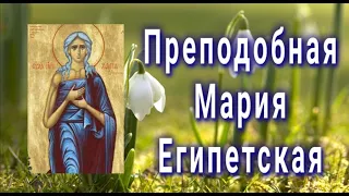 Преподобная Мария Египетская  - 14 апреля день преставления.