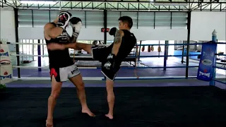 Muay Thai Liver Kick KO Technique